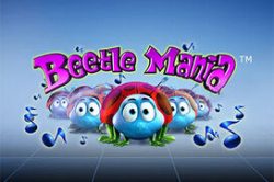 Beetle Mania